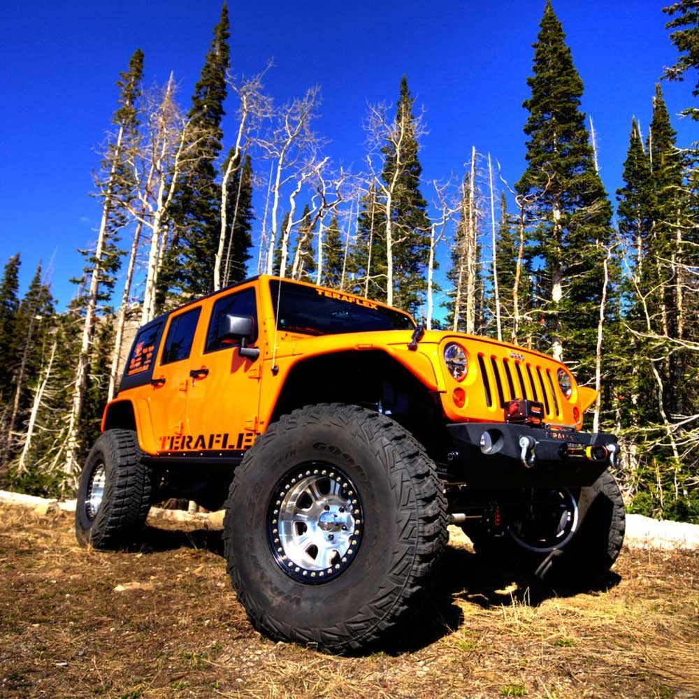 Copertura differenziale heavy duty per assali Dana 44 TeraFlex - Autoricambi4x4