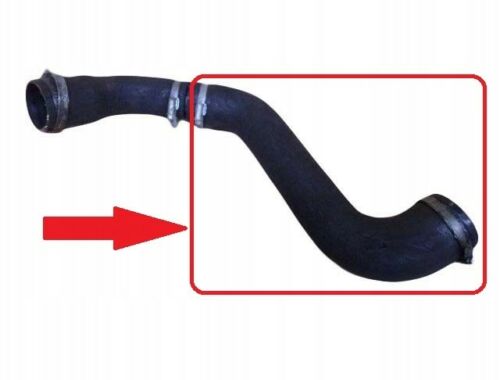 Manicotto/ TUBO Intercooler Ford KUGA 2.0 TDCi - Autoricambi4x4 - vista 5