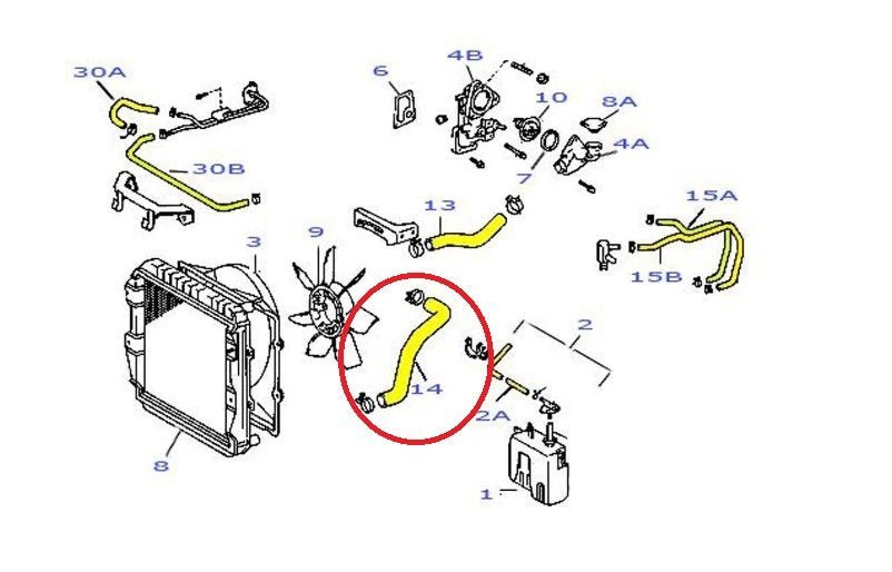 MANICOTTO INFERIORE RADIATORE TOYOTA LAND CRUISER LJ70/ HYLUX - Autoricambi4x4